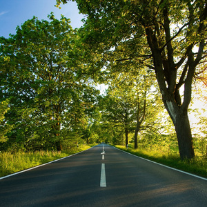 打雷打狙免费高清视频
